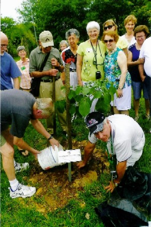Piracicaba Club Plants a Tree in Honor of Our Exchange